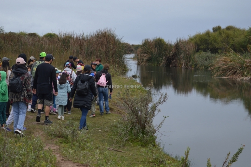 DSC_0087 Copiar-1.JPG