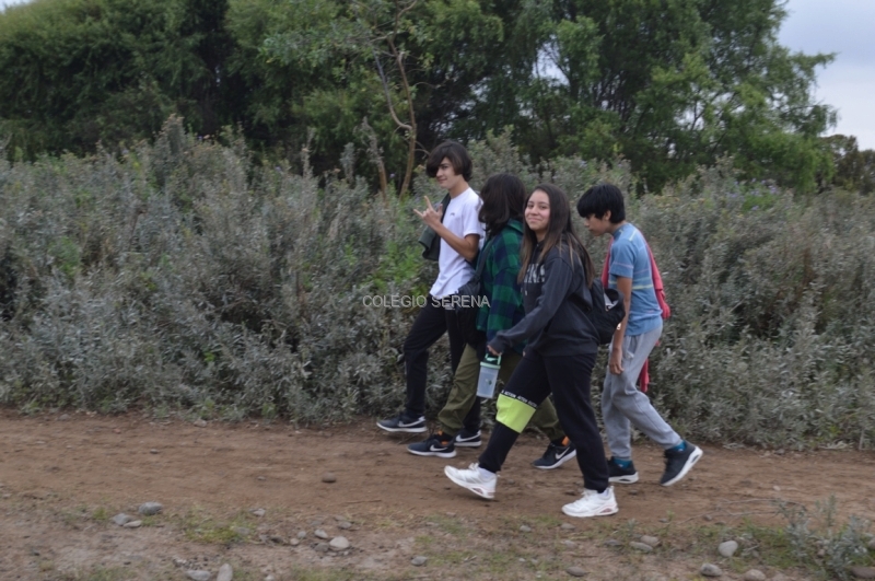 DSC_0079 Copiar-1.JPG