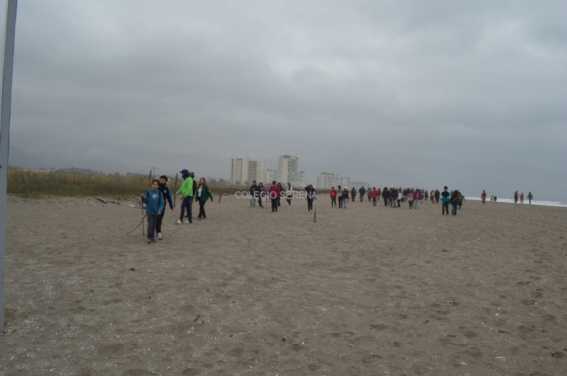 DSC_0128 Copiar.JPG
