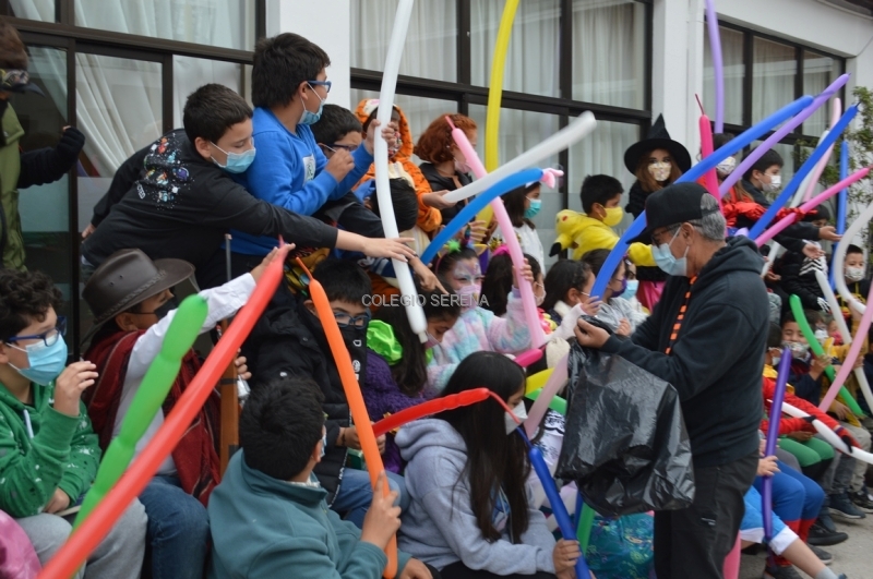 DSC_0033 Copiar.JPG