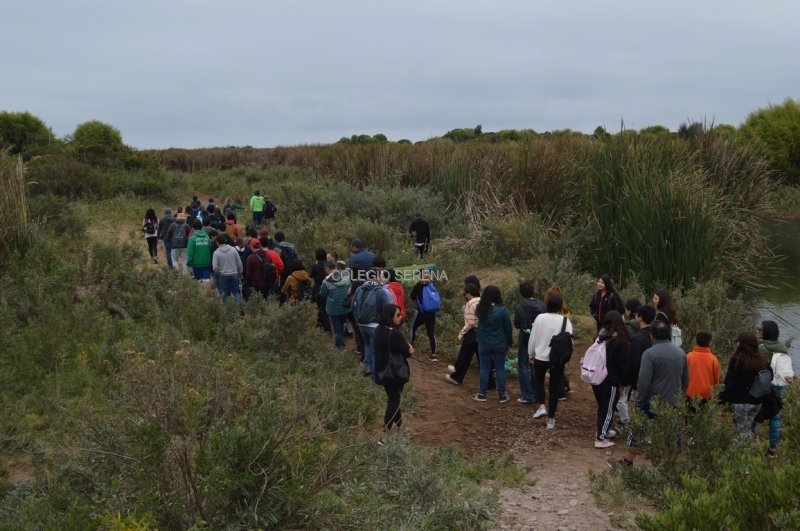 DSC_0098 Copiar.JPG