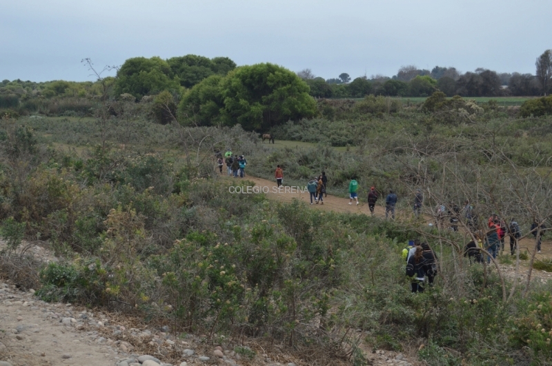 DSC_0020 Copiar-1.JPG