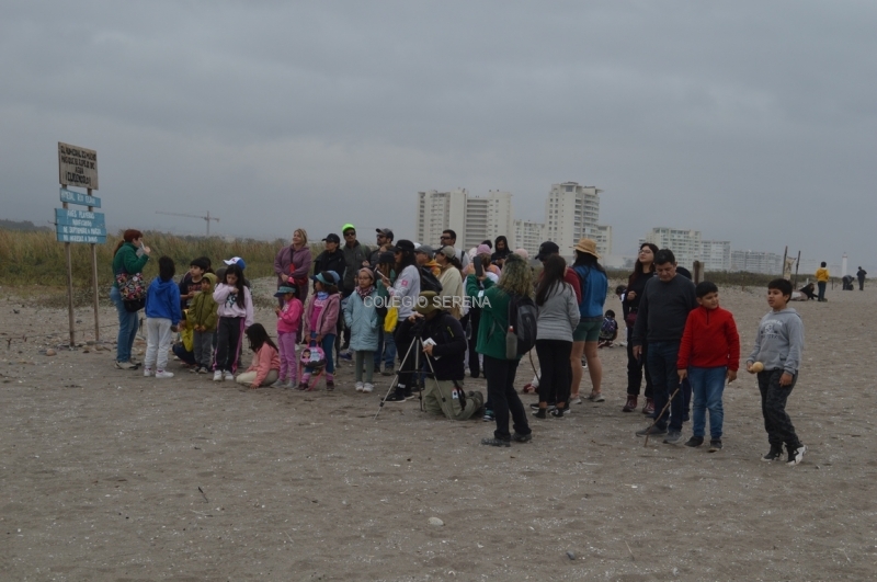 DSC_0163 Copiar.JPG