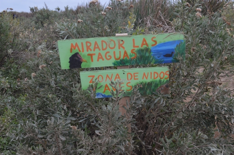 DSC_0101 Copiar.JPG
