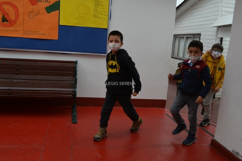 DSC_0007 Copiar.JPG