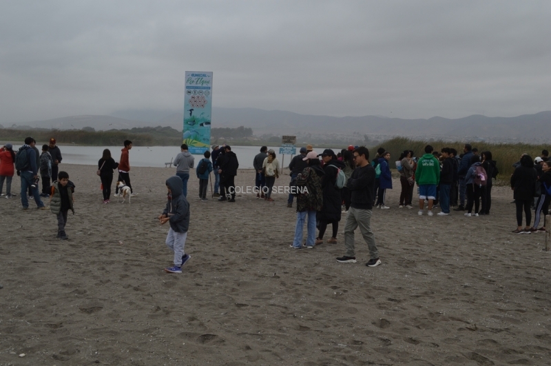 DSC_0133 Copiar.JPG
