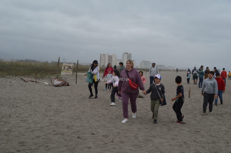 DSC_0159 Copiar.JPG