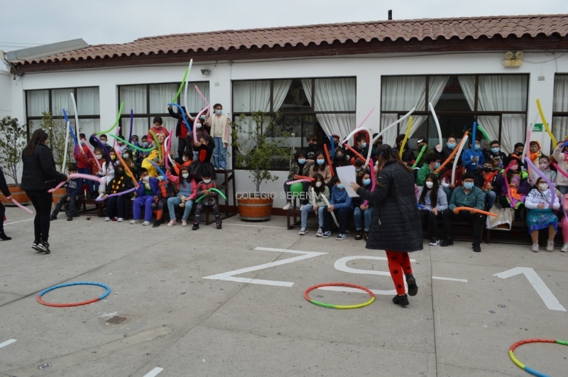 DSC_0046 Copiar.JPG