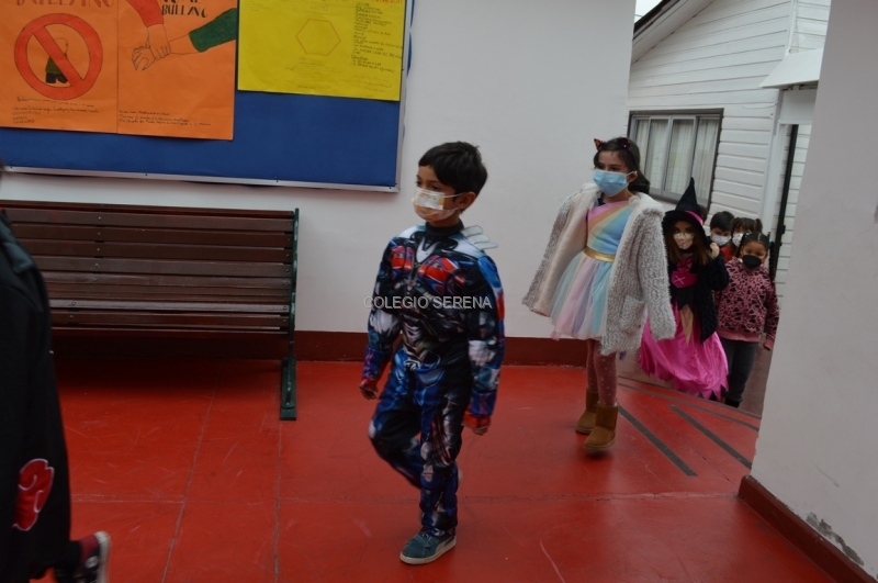 DSC_0001 Copiar.JPG