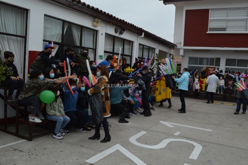 DSC_0030 Copiar.JPG
