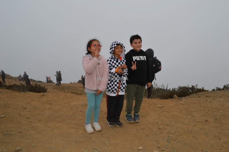 DSC_0095-1.JPG