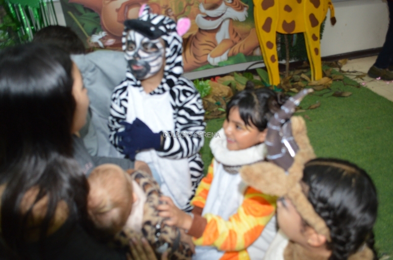 DSC_0041-3.JPG