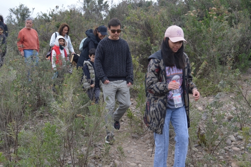 DSC_0053 Copiar-1.JPG