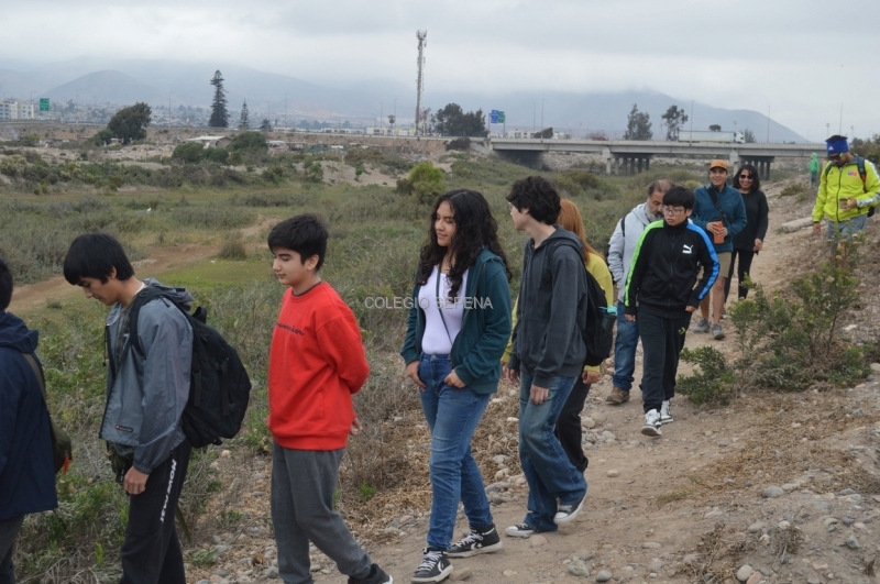 DSC_0013 Copiar-1.JPG