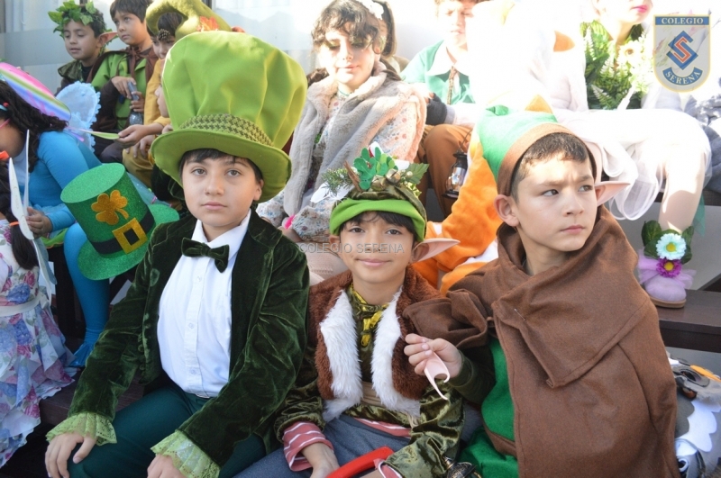 DSC_0036 Copiar-2.JPG