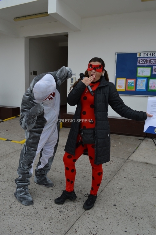 DSC_0051 Copiar.JPG
