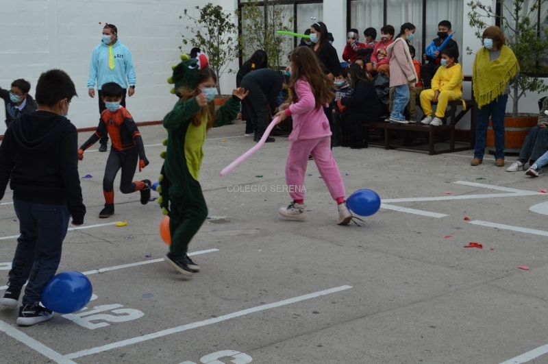 DSC_0065 Copiar.JPG