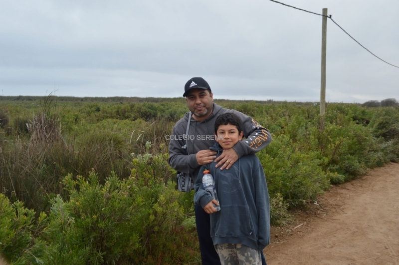 DSC_0165 Copiar.JPG