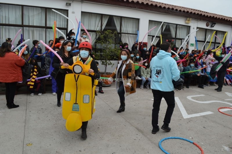 DSC_0037 Copiar.JPG