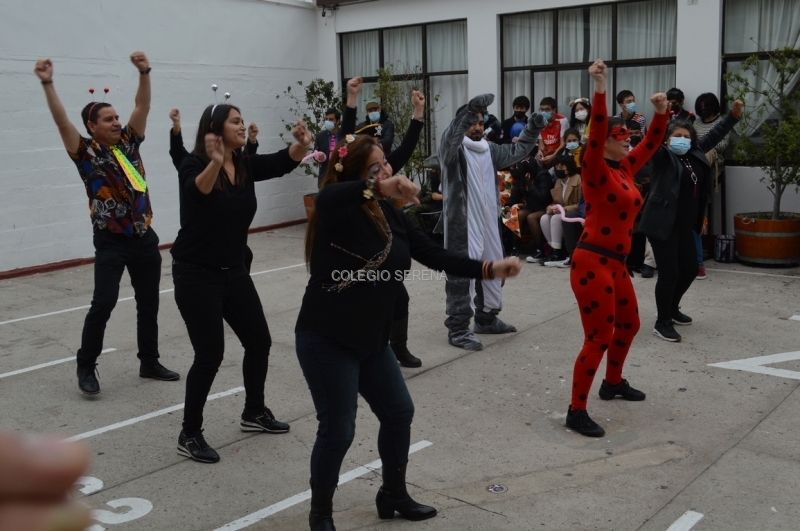 DSC_0104 Copiar.JPG