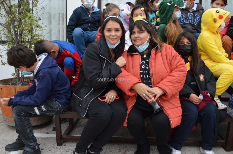 DSC_0019 Copiar.JPG
