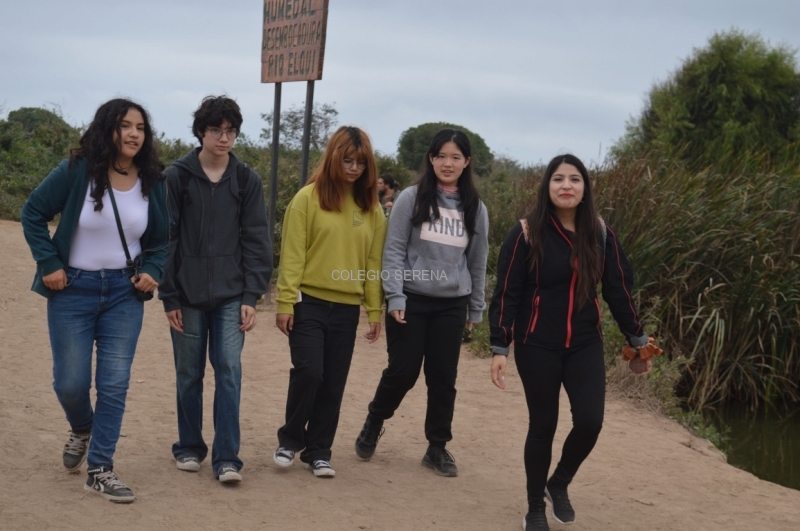 DSC_0176 Copiar.JPG
