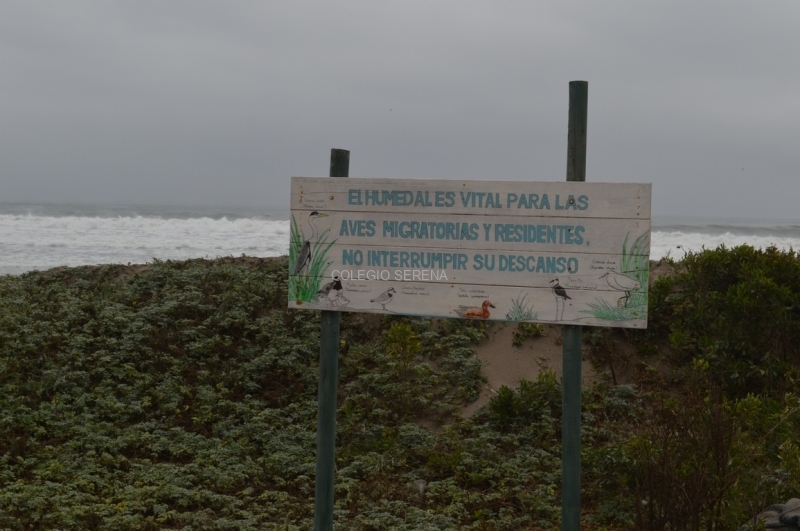 DSC_0124 Copiar.JPG