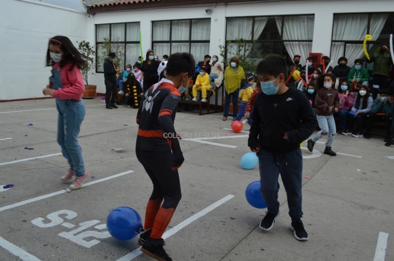 DSC_0066 Copiar.JPG