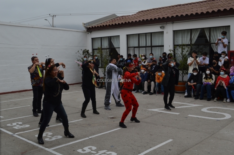 DSC_0099 Copiar.JPG