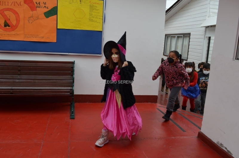 DSC_0003 Copiar.JPG