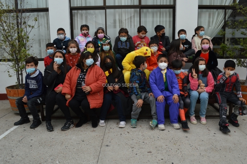 DSC_0017 Copiar.JPG