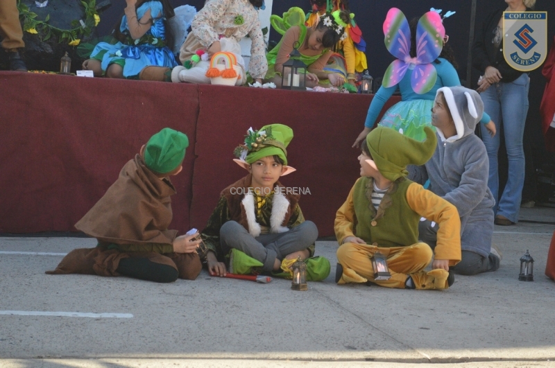 DSC_0094 Copiar.JPG