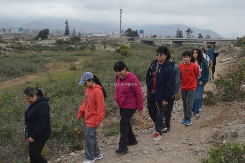 DSC_0012 Copiar-2.JPG