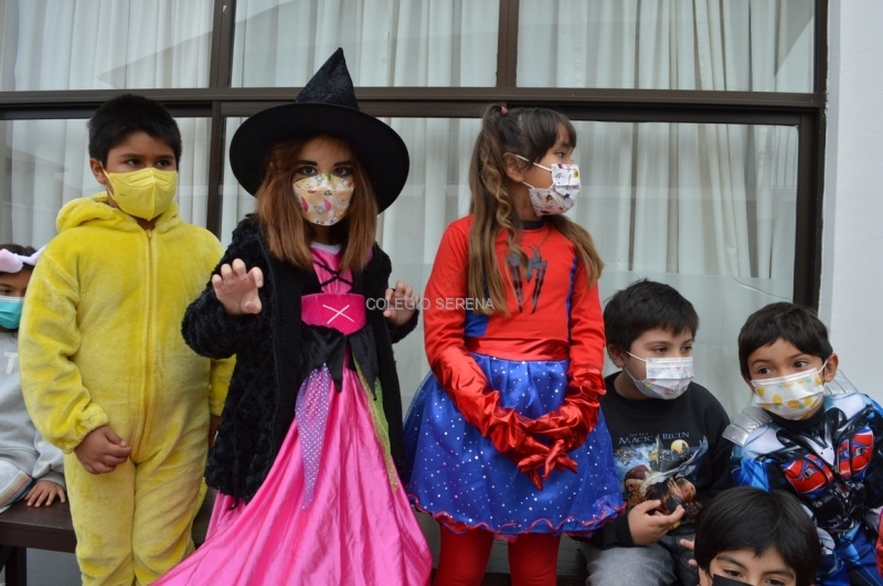 DSC_0022 Copiar.JPG