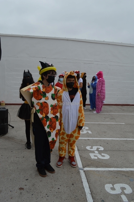 DSC_0080 Copiar.JPG