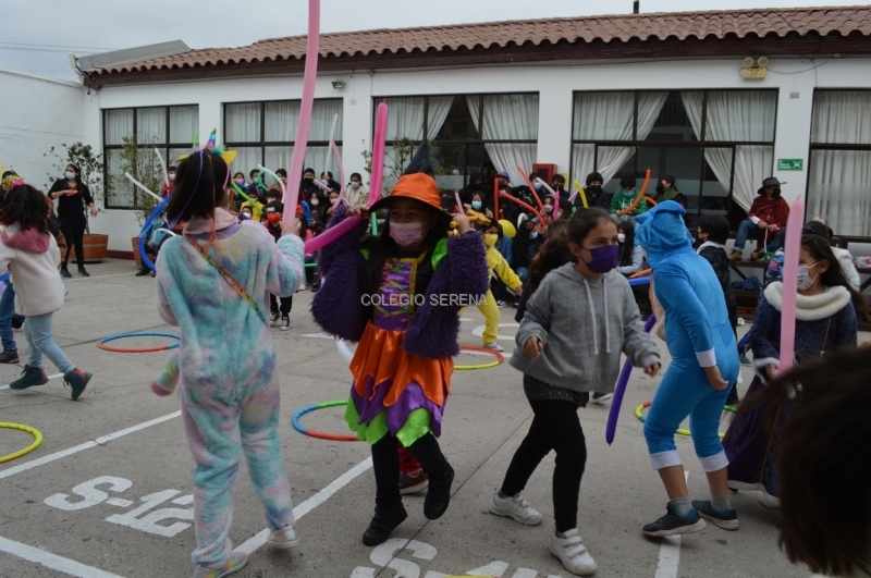 DSC_0055 Copiar.JPG