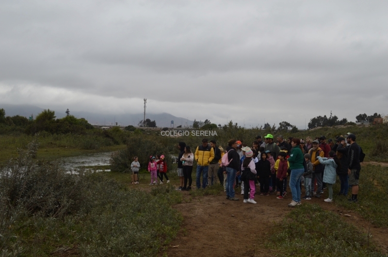 DSC_0063 Copiar-1.JPG