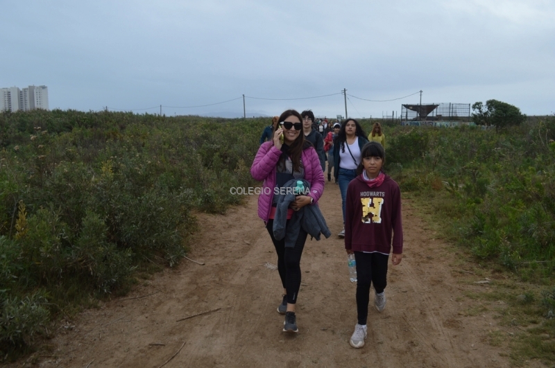 DSC_0172 Copiar.JPG