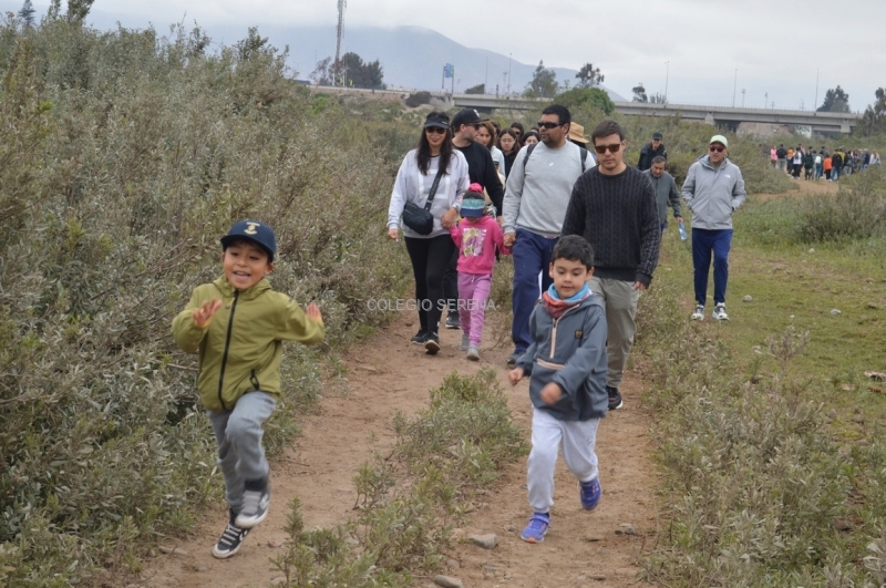 DSC_0071 Copiar.JPG