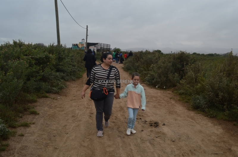 DSC_0166 Copiar.JPG
