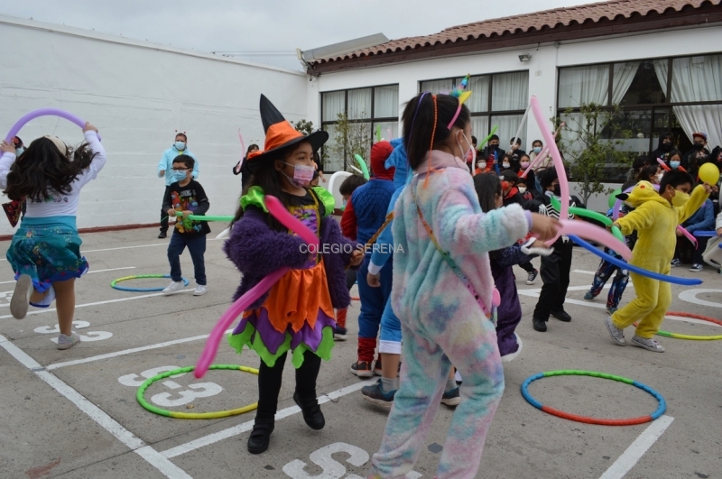 DSC_0056 Copiar.JPG