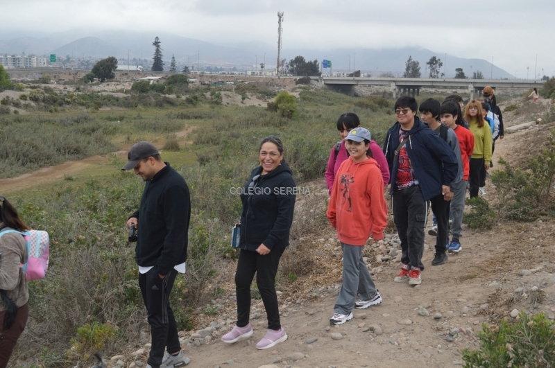 DSC_0011 Copiar-1.JPG