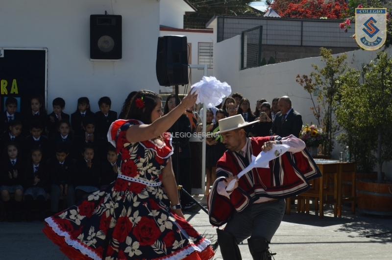 DSC_0049 Copiar-2.JPG