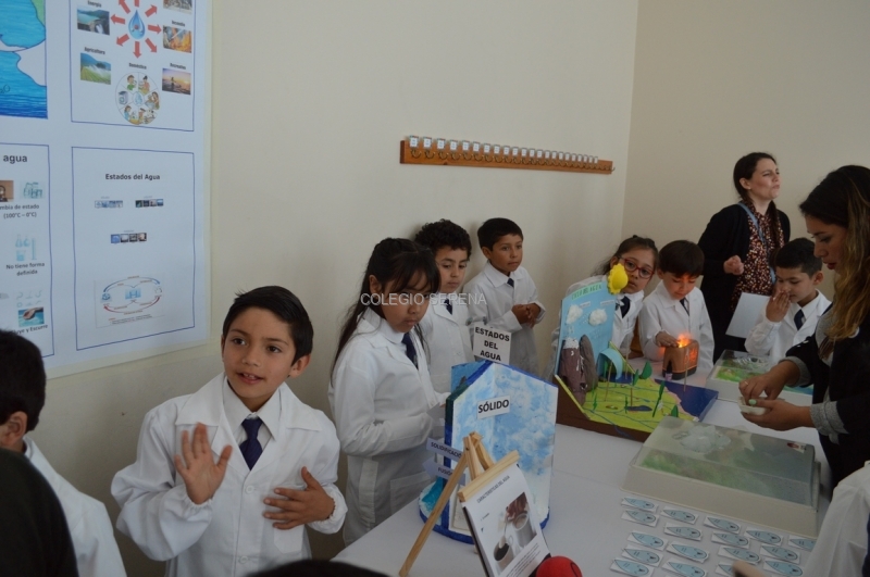 DSC_0525 Copiar.JPG