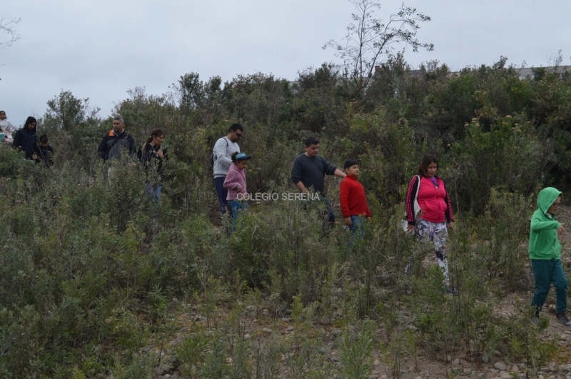 DSC_0041 Copiar-1.JPG