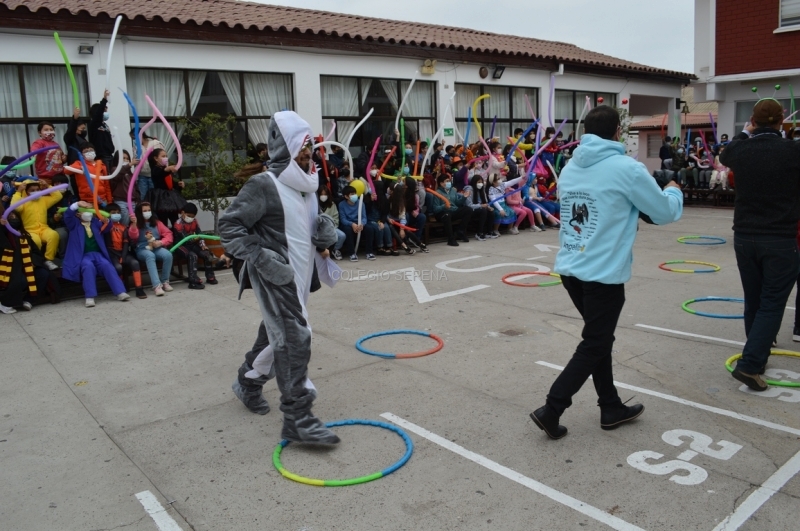 DSC_0043 Copiar.JPG