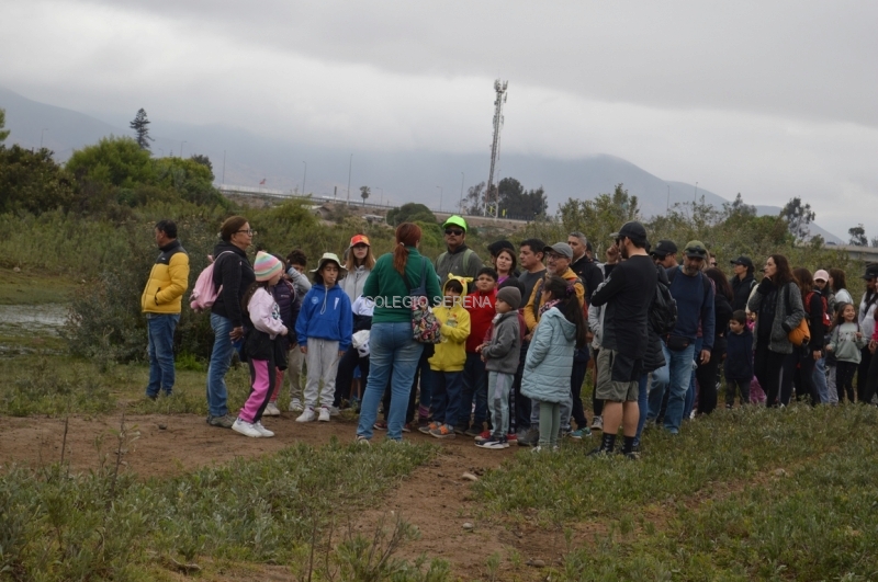 DSC_0062 Copiar-1.JPG