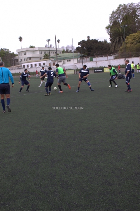 fut50a13.jpg