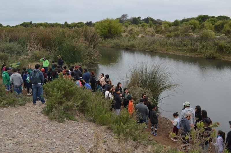 DSC_0095 Copiar.JPG