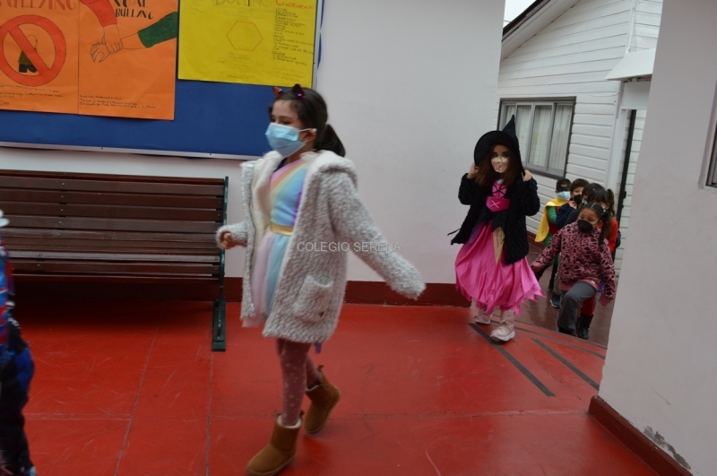 DSC_0002 Copiar.JPG